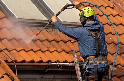 Démoussage et hydrofuge de toiture à Servanches